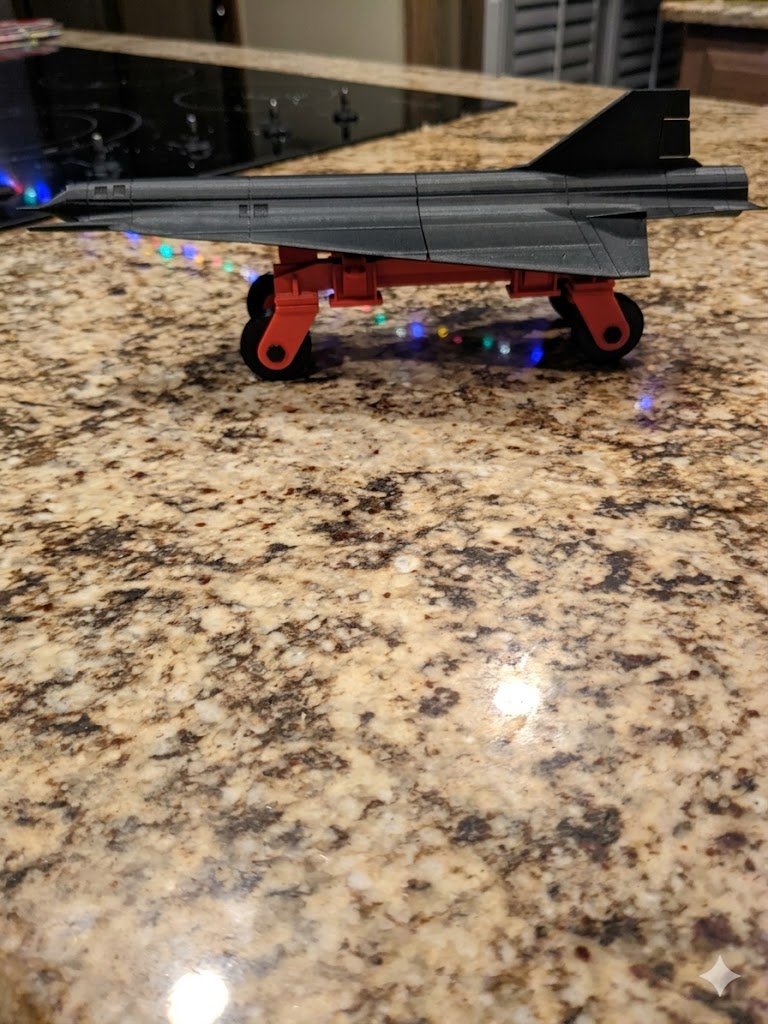 D-21 Recon Drone 3D Printed Model