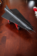 D-21 Recon Drone 3D Printed Model