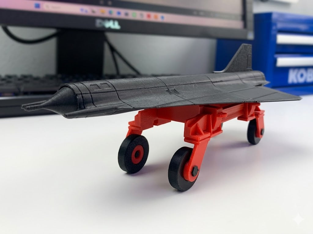 D-21 Recon Drone 3D Printed Model