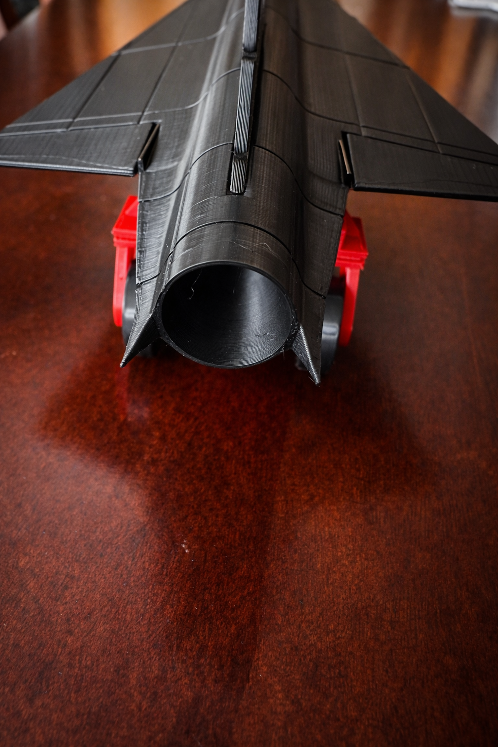 D-21 Recon Drone 3D Printed Model