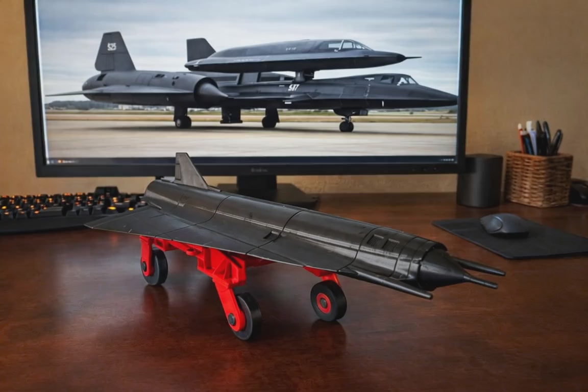 D-21 Recon Drone 3D Printed Model